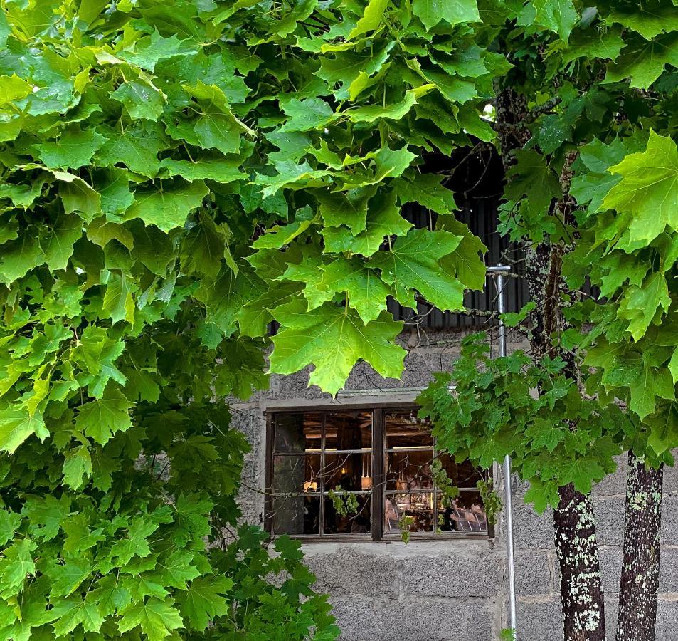 Kartano Kievari Äänekoski Exteriér fotografie