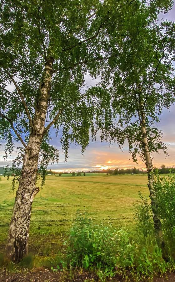 Kartano Kievari Äänekoski Exteriér fotografie